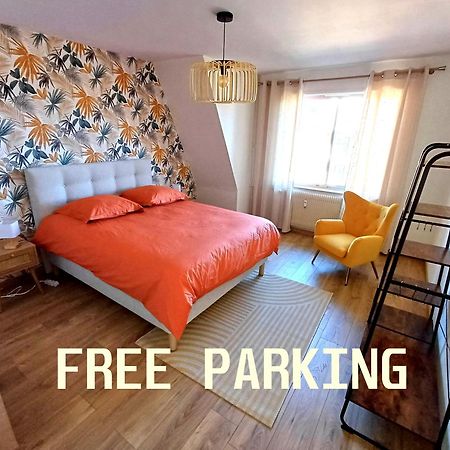 Confortable Spacieux Grand Rue - Garage Saverne Bagian luar foto