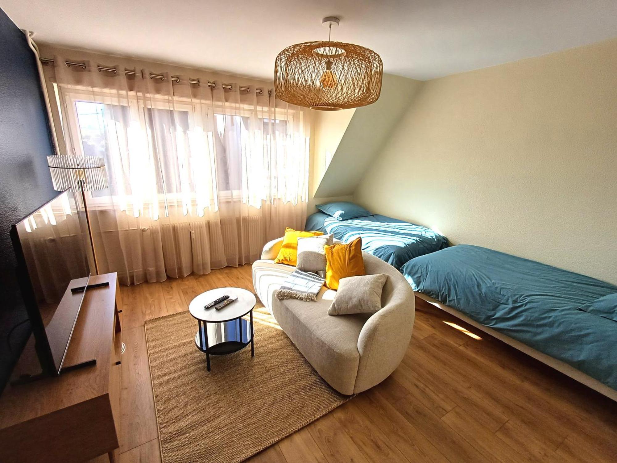 Confortable Spacieux Grand Rue - Garage Saverne Bagian luar foto